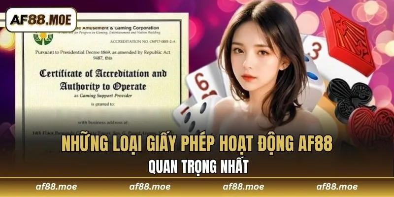 Những loại giấy phép hoạt động AF88 quan trọng nhất