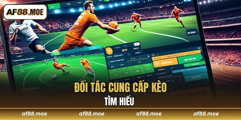 Tìm hiểu các đối tác cung cấp kèo uy tín chất lượng